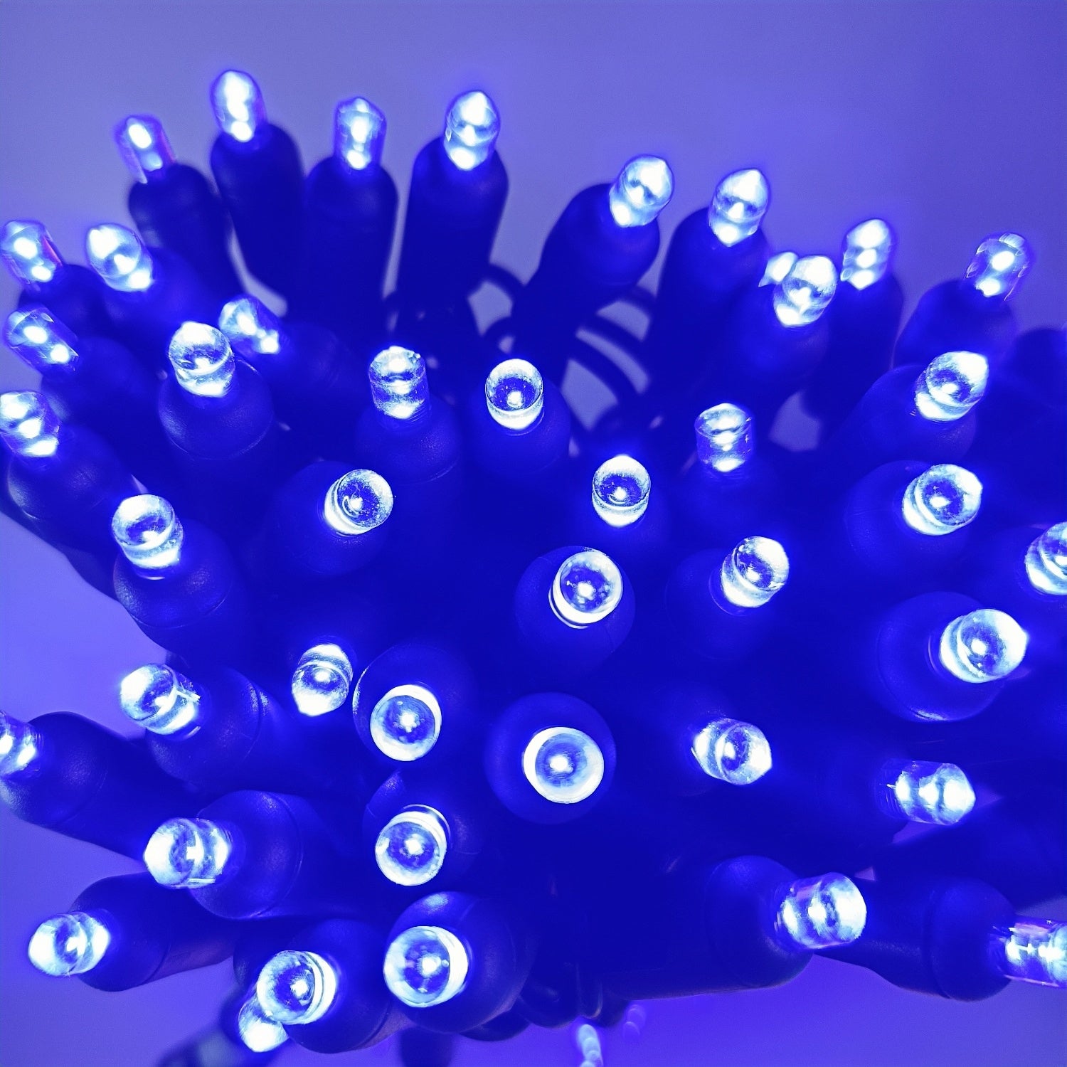 Commercial Grade Blue 5mm Wide Angle LED Christmas Lights on Green Wire