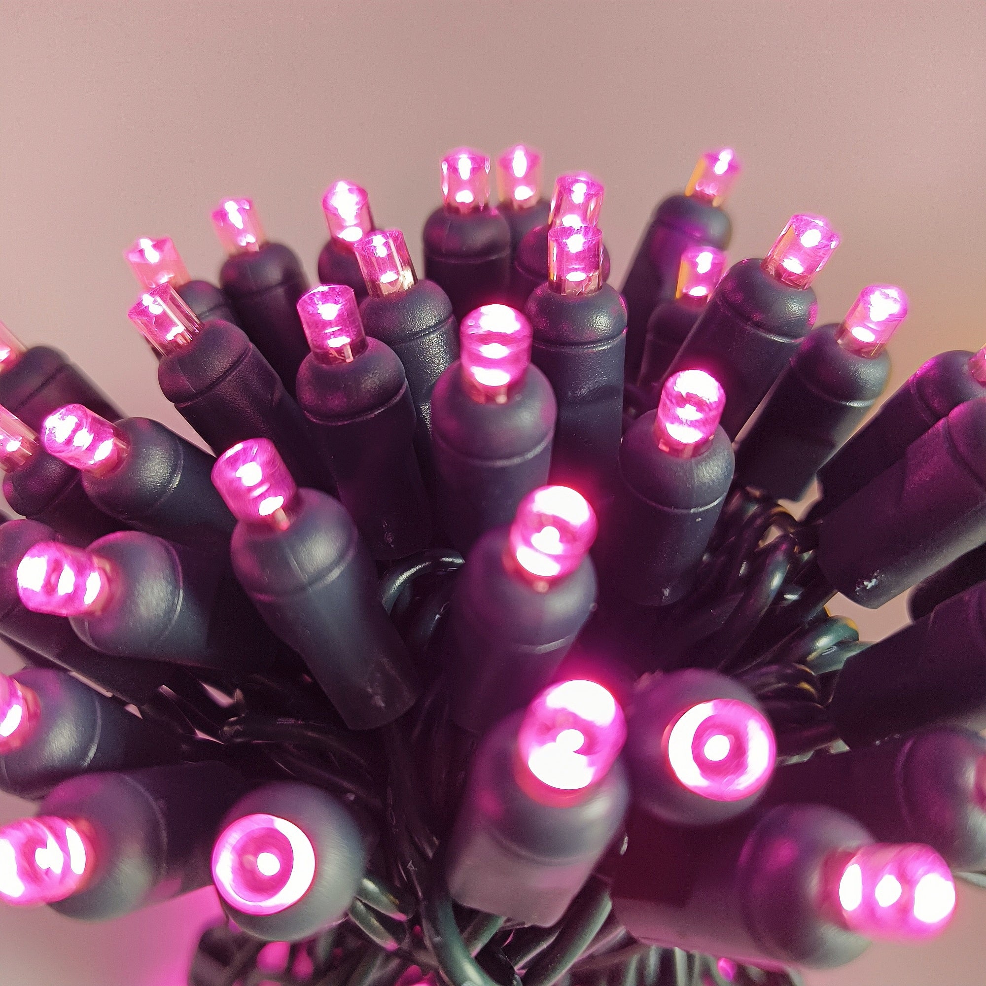 Commercial Grade Pink 5mm Wide Angle LED Christmas Lights on Green Wire