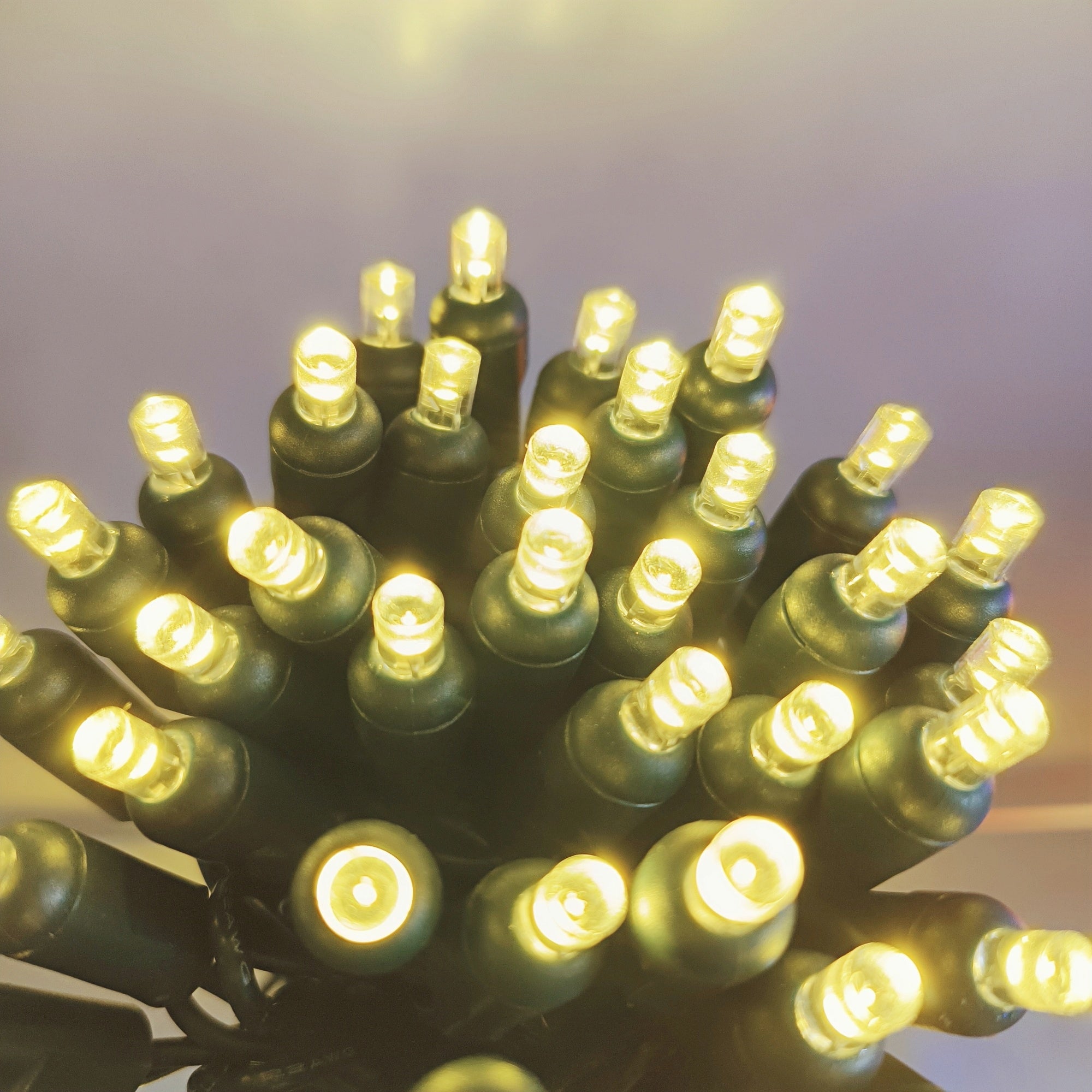 40 Sets of 24Ft 70Ct Outdoor Mini 5mm LED Christmas Lights, Warm White