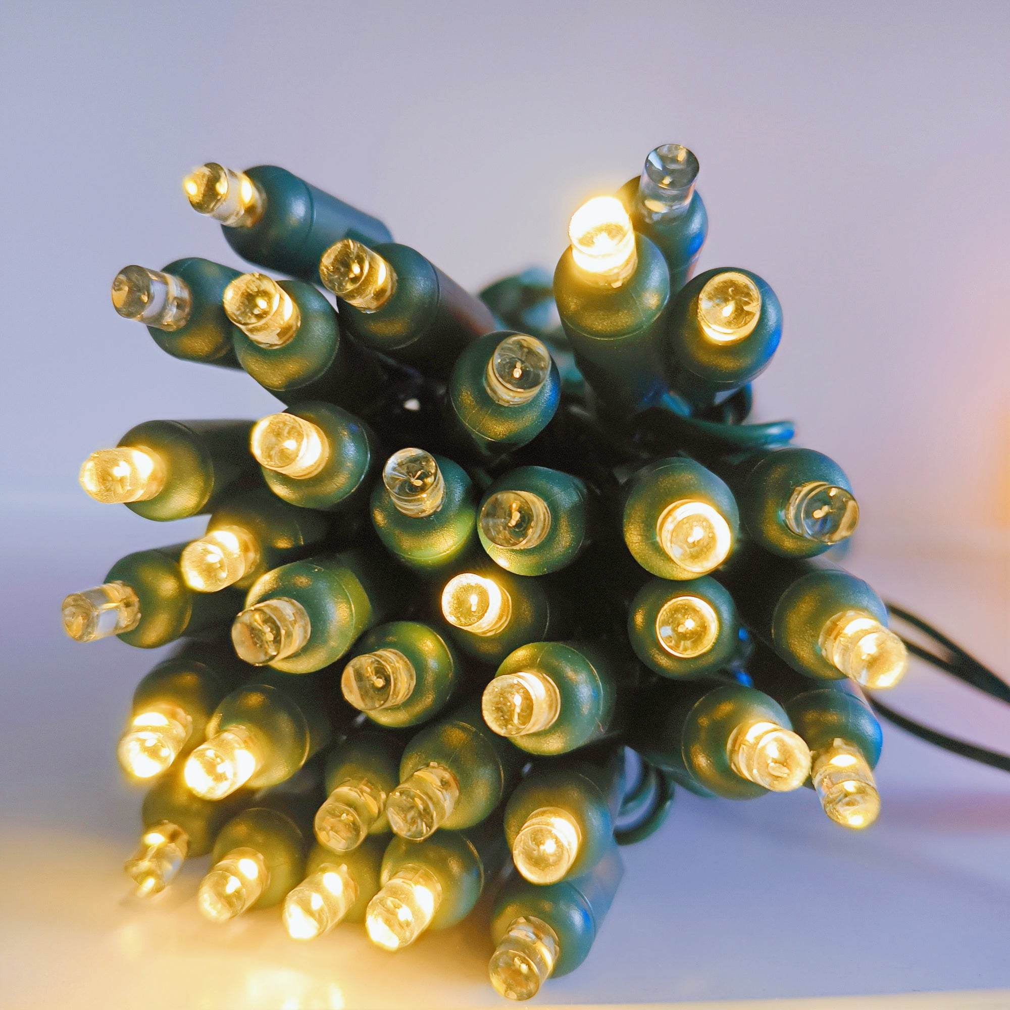Commercial Grade Warm White Slow Twinkle 5mm Wide Angle LED Christmas Lights on Green Wire