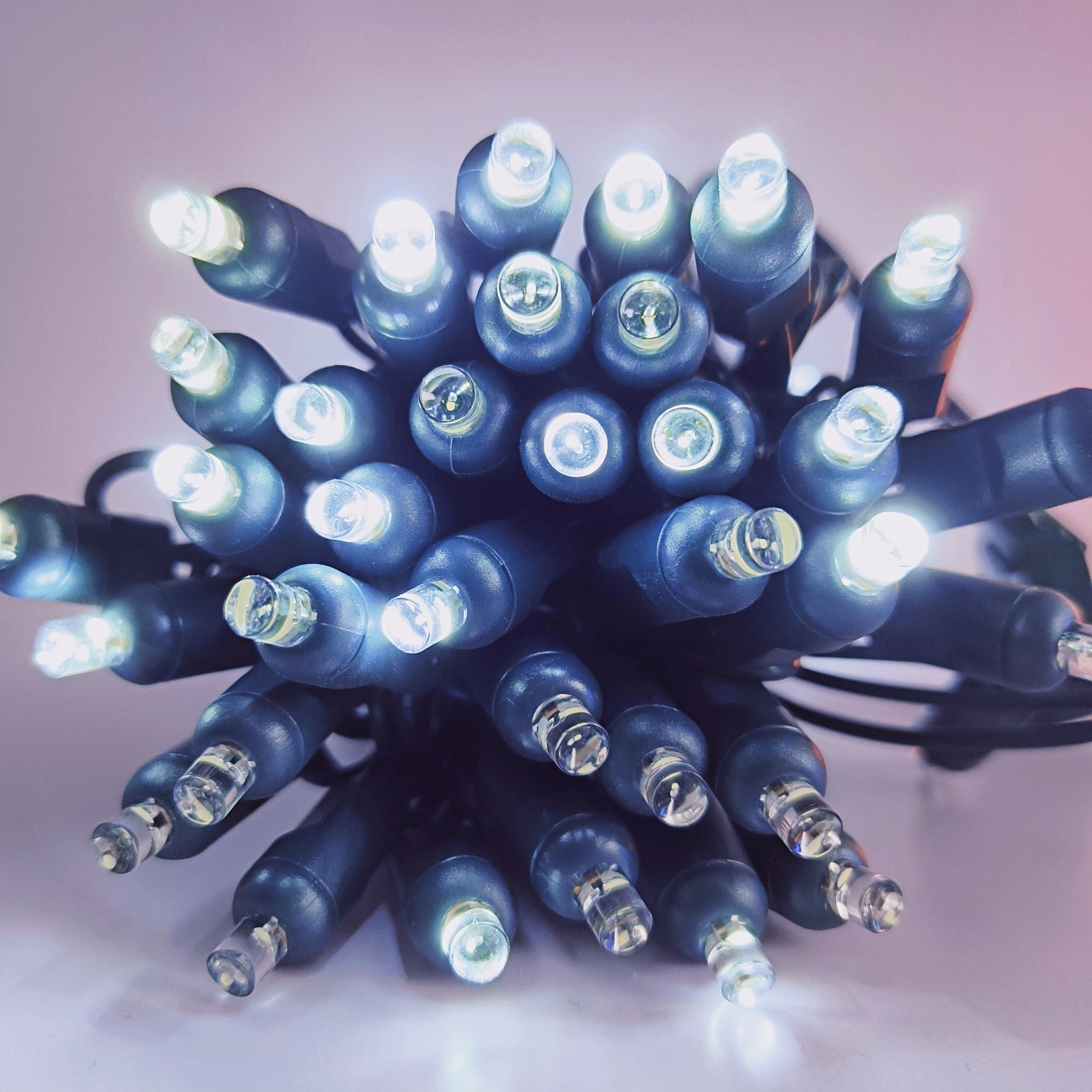 Commercial Grade Twinkle Cool White 5mm Wide Angle LED Christmas Lights on Green Wire