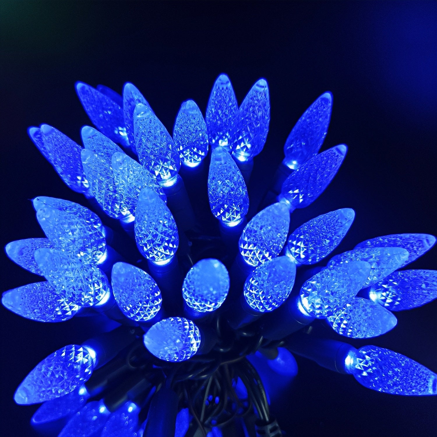 Commercial Grade Blue C6 LED Christmas Lights on Green Wire