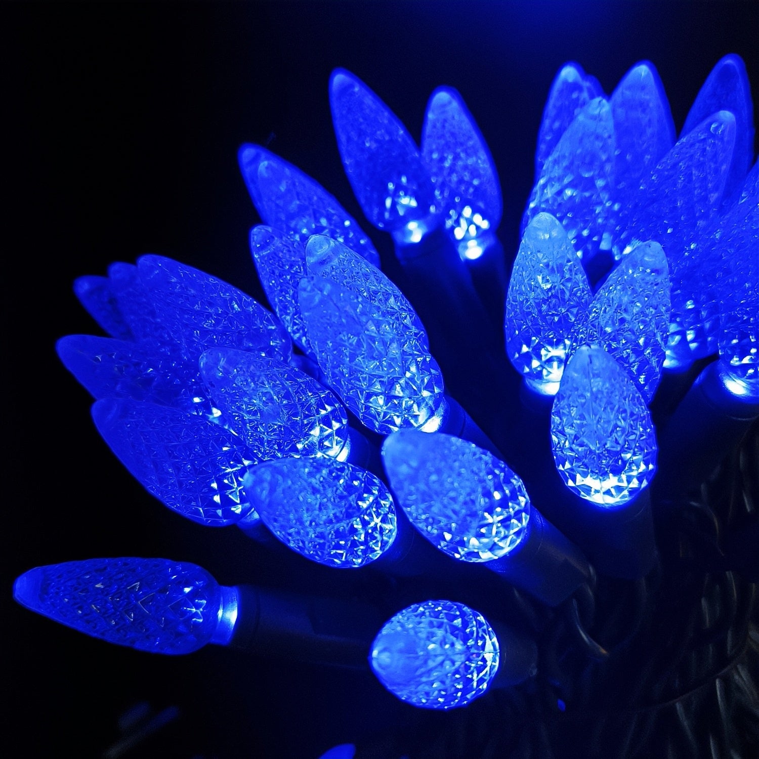 Commercial Grade Blue C6 LED Christmas Lights on Green Wire