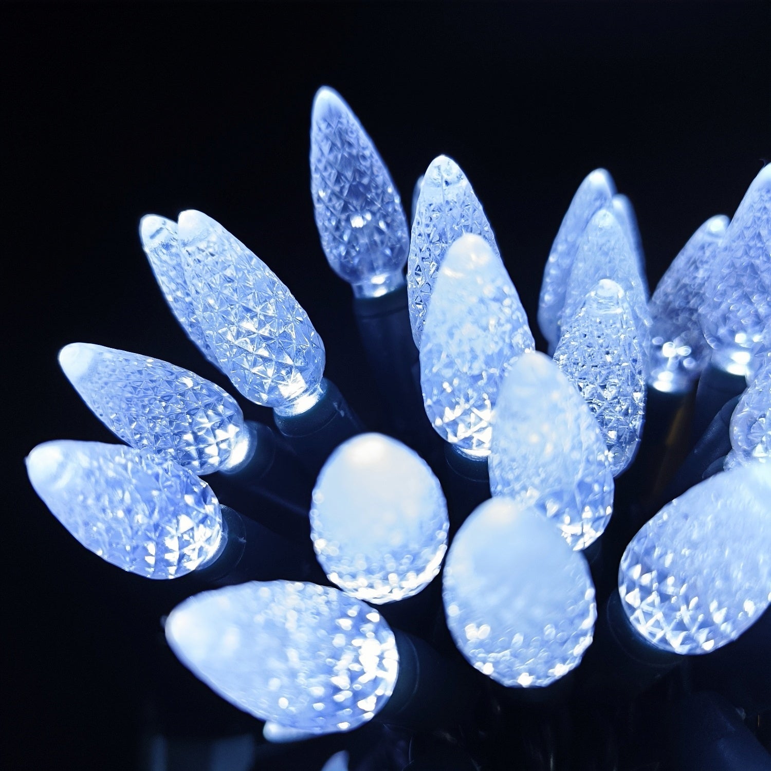 Commercial Grade Cool White C6 LED Christmas Lights on Green Wire