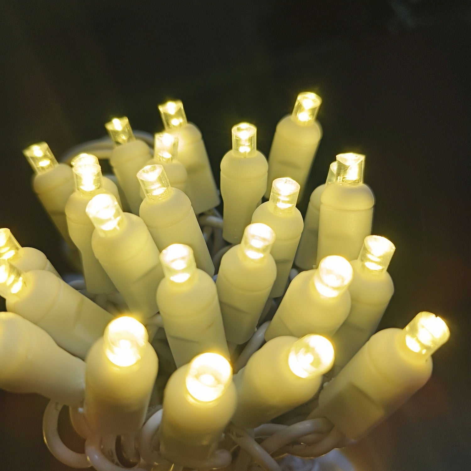 Commercial Grade Warm White 5mm Wide Angle LED Christmas Lights on White Wire