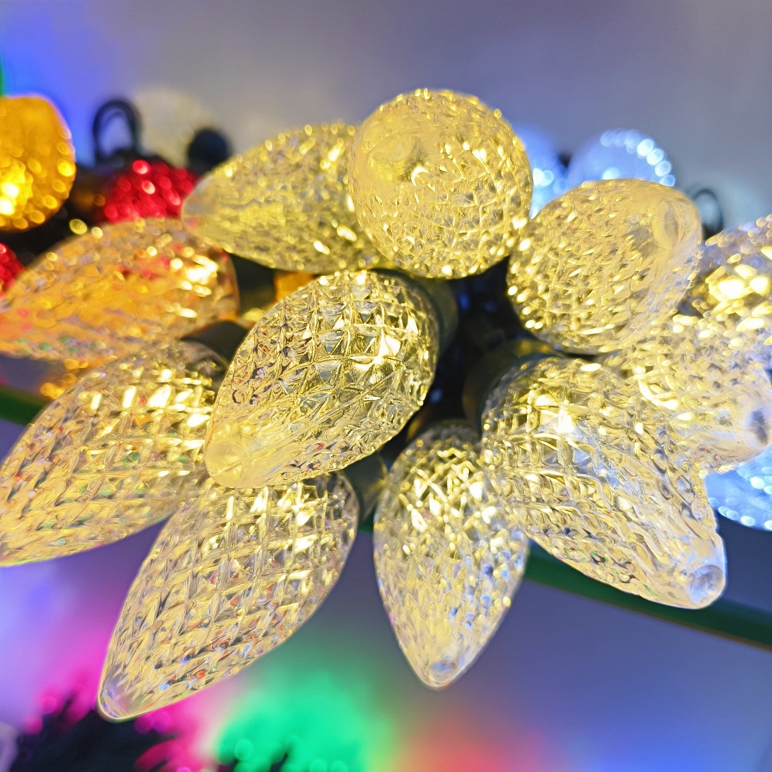 Commercial Grade Warm White C9 LED Christmas Lights on Green Wire