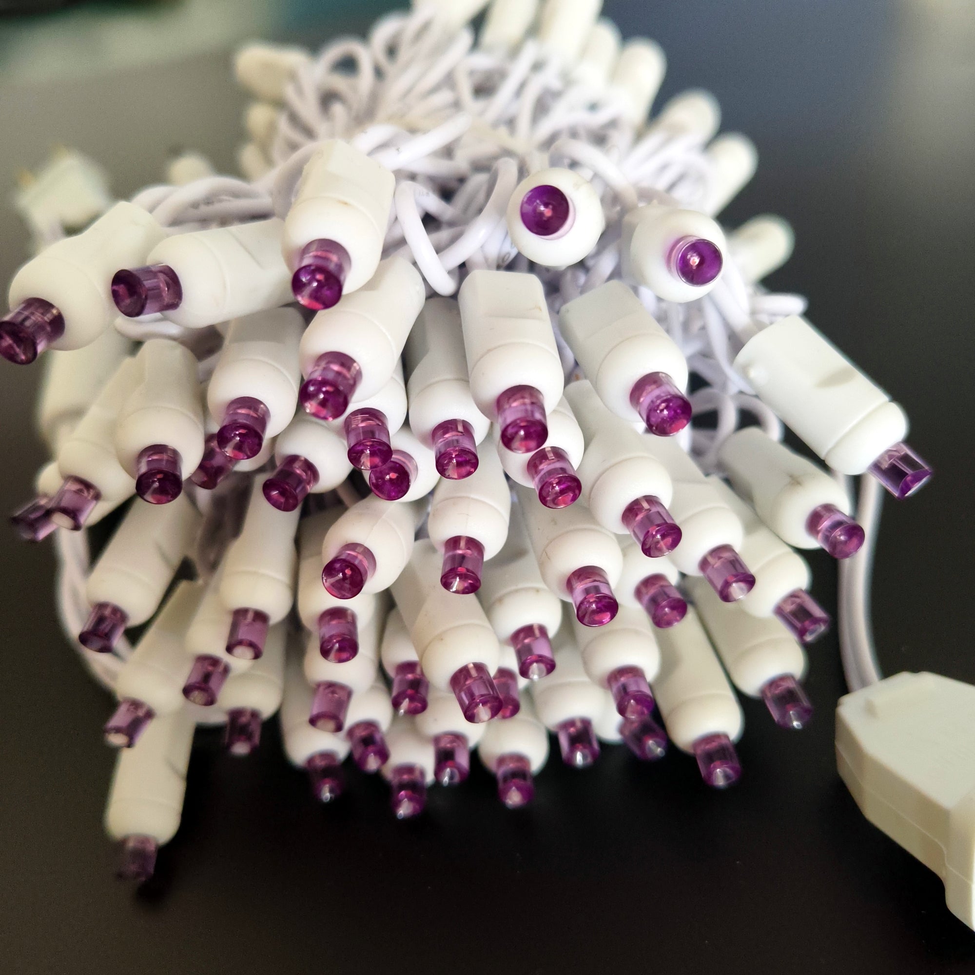 Commercial Grade Purple 5mm Wide Angle LED Christmas Lights on White Wire