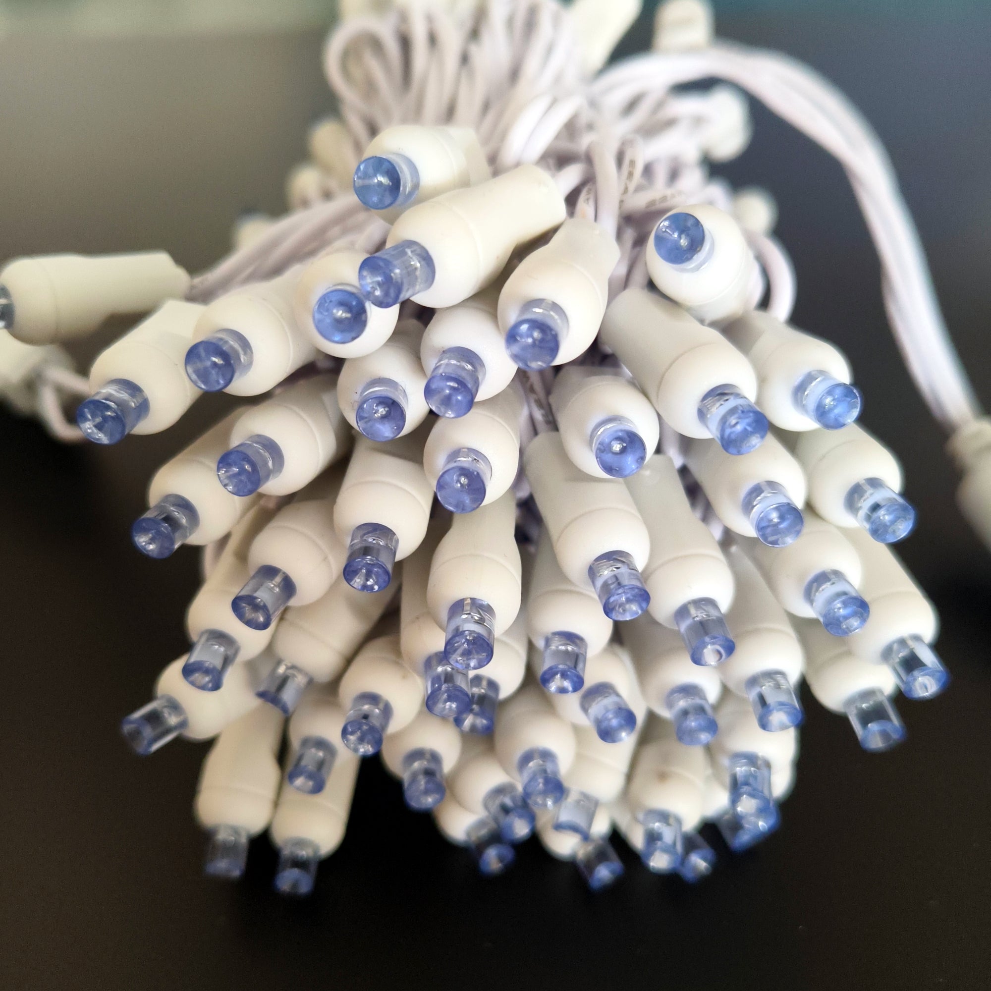 Commercial Grade Blue 5mm Wide Angle LED Christmas Lights on White Wire