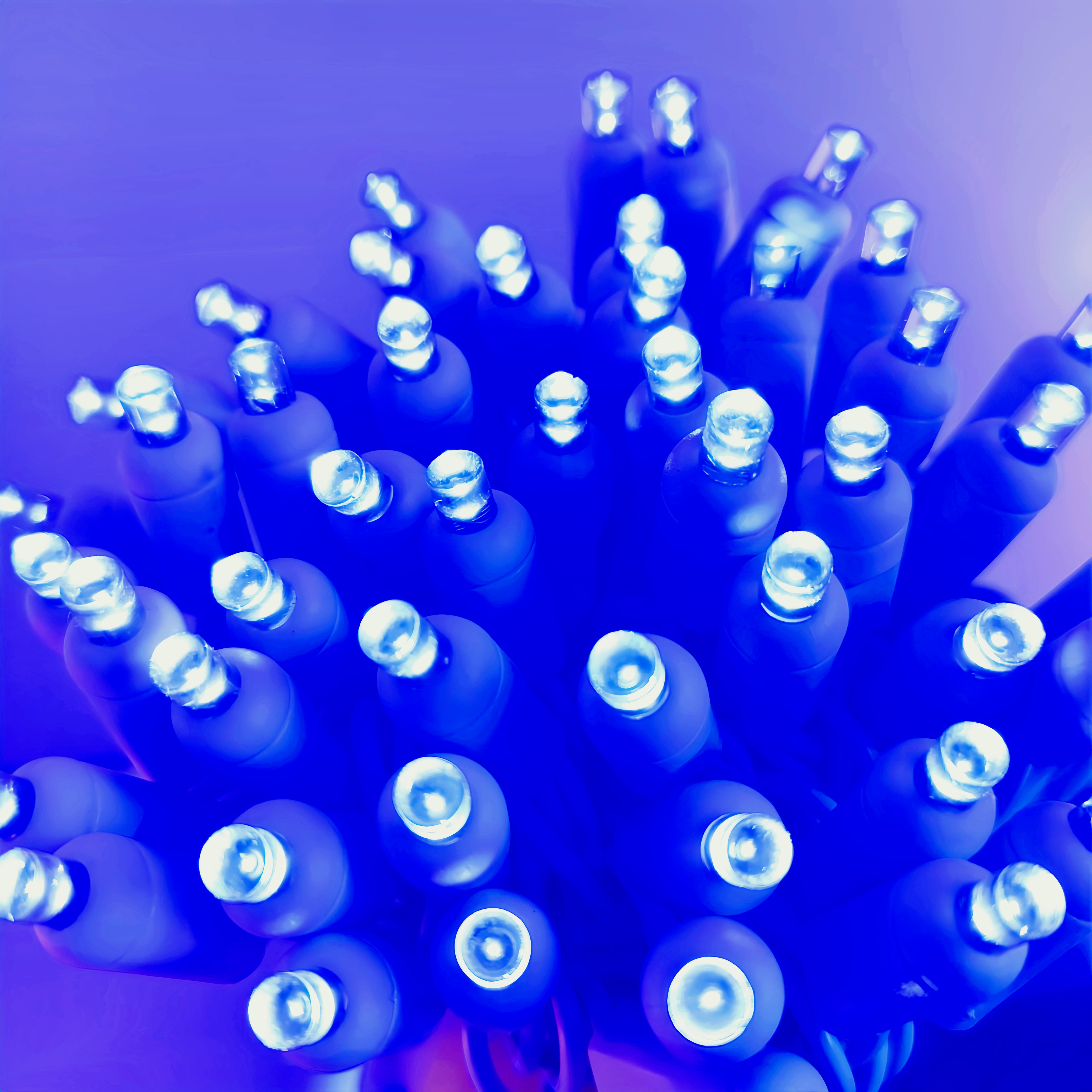 Commercial Grade Blue 5mm Wide Angle LED Christmas Lights on White Wire