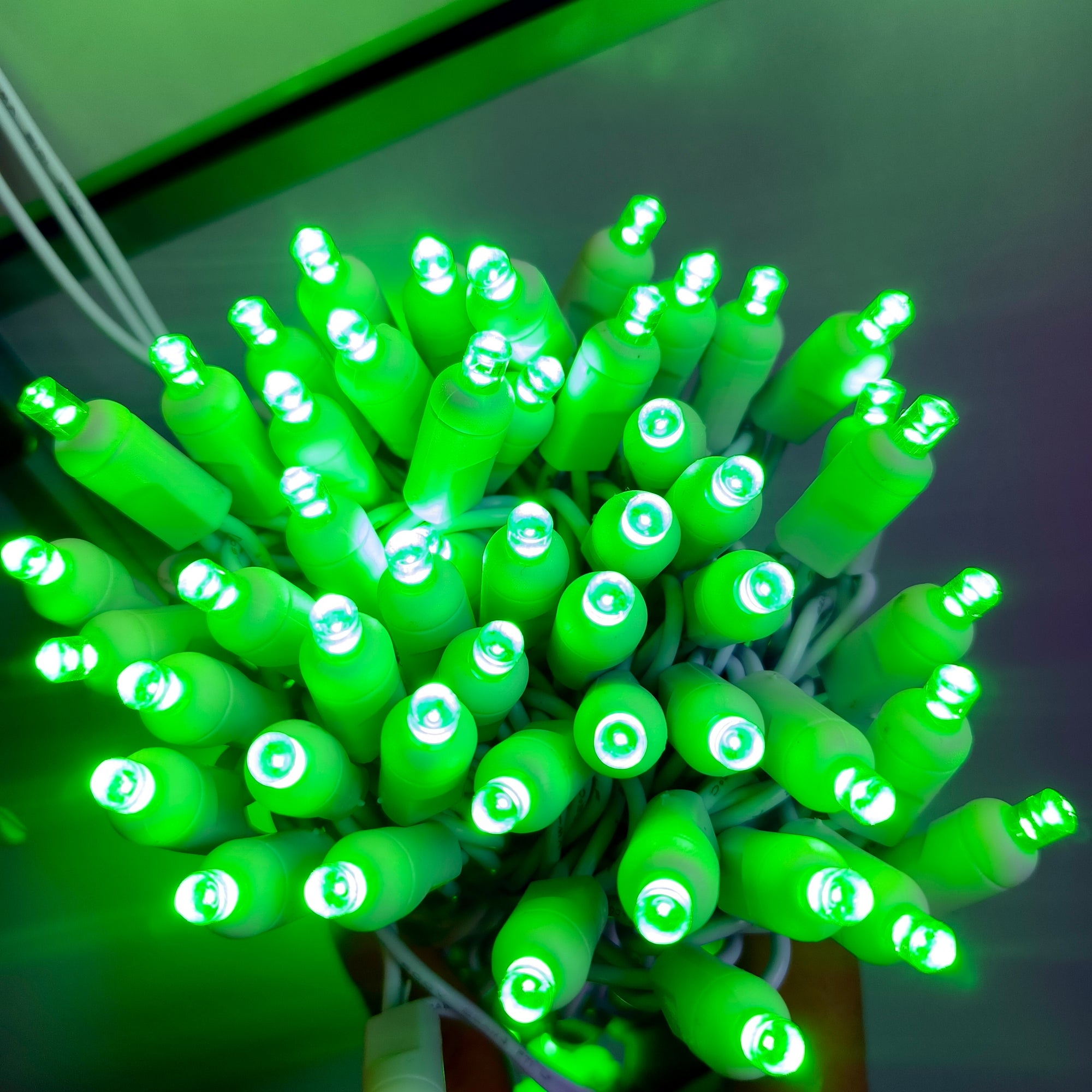 Commercial Grade Green 5mm Wide Angle LED Christmas Lights on White Wire