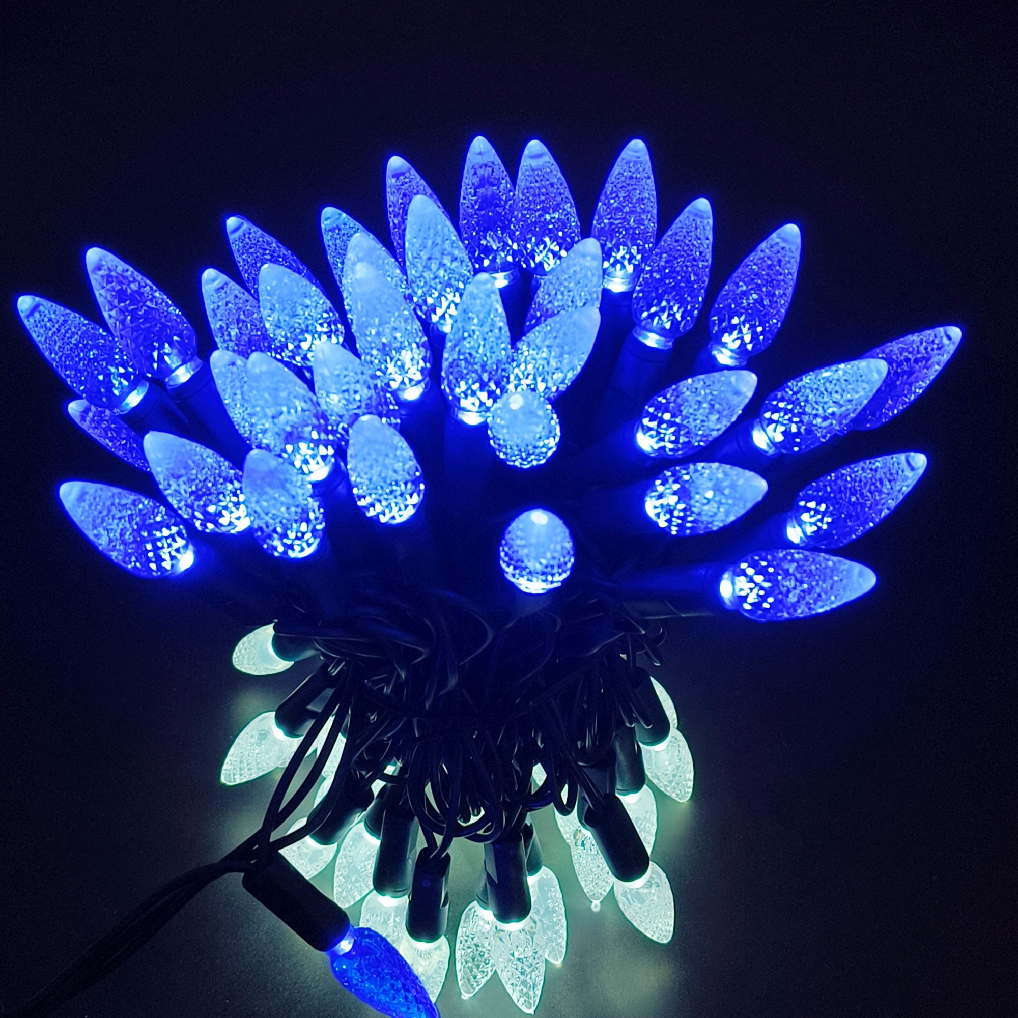 Commercial Grade Blue White C6 LED Christmas Lights on Green Wire