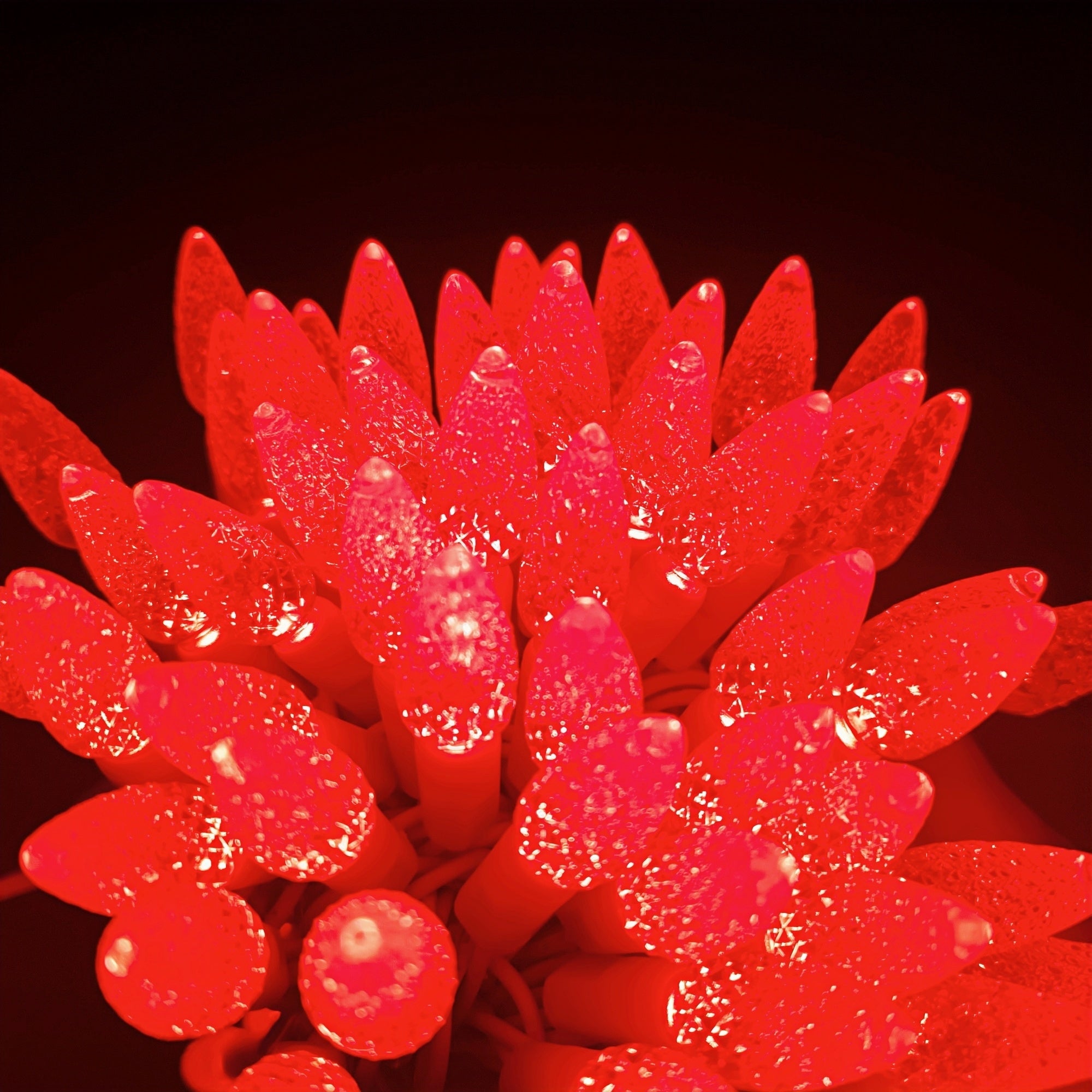 Commercial Grade Red C6 LED Christmas Lights on White Wire