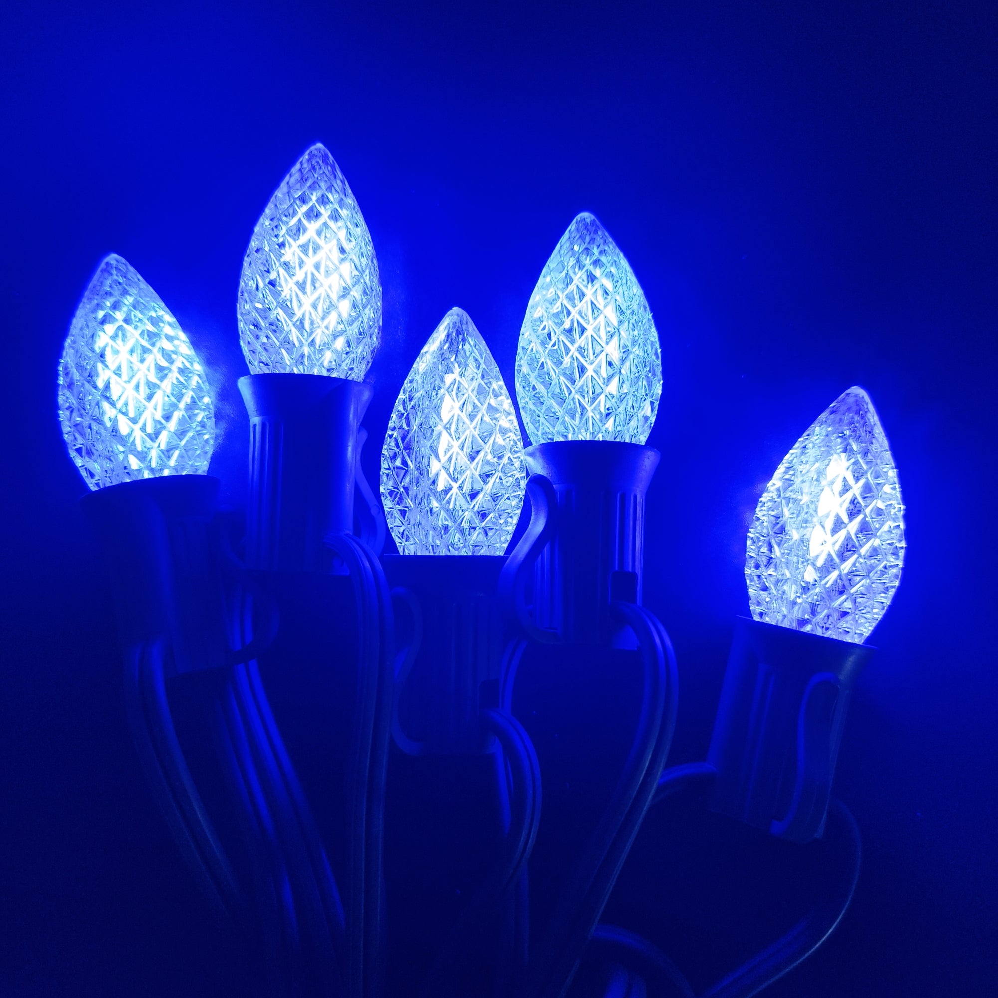 Commercial Grade Blue C7 LED Christmas Lights 25Ft 25 Bulbs on Green Wire
