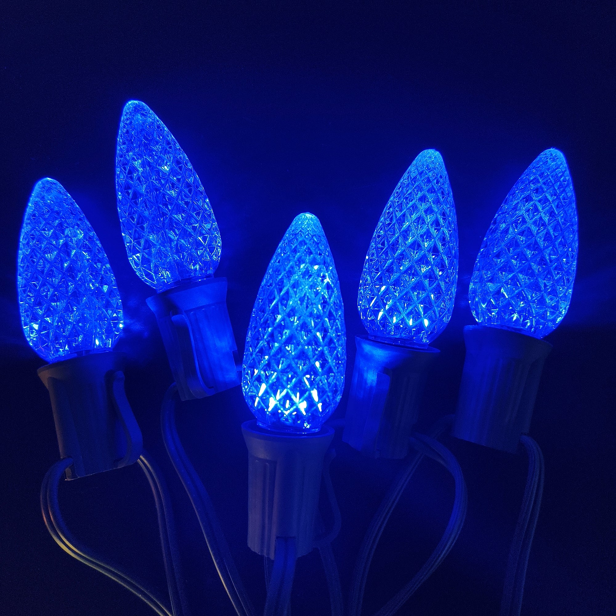 Commercial Grade Blue C9 LED Christmas Lights 25Ft 25 Bulbs on Green Wire