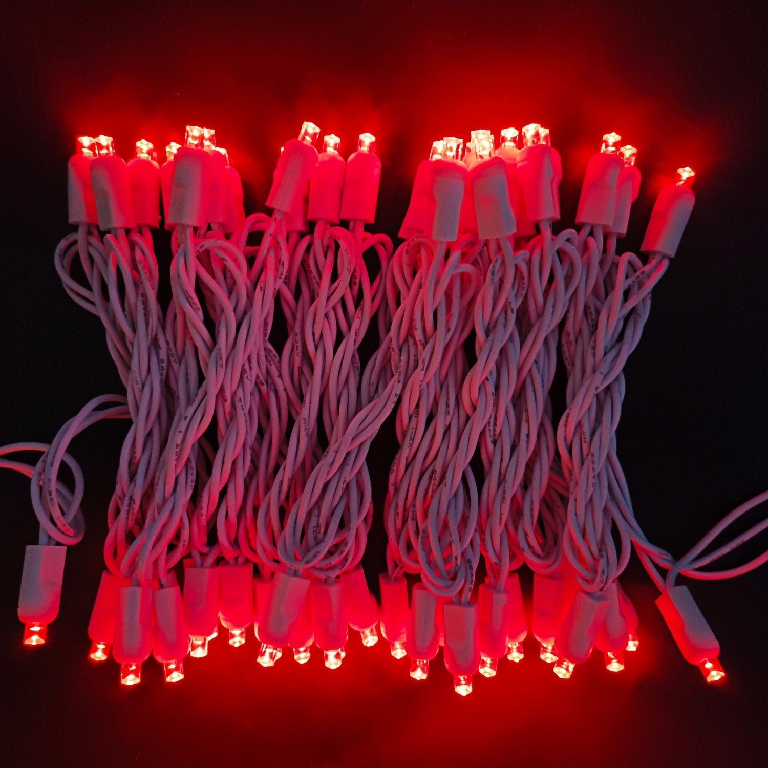 Commercial Grade Red 5mm Wide Angle LED Christmas Lights on White Wire
