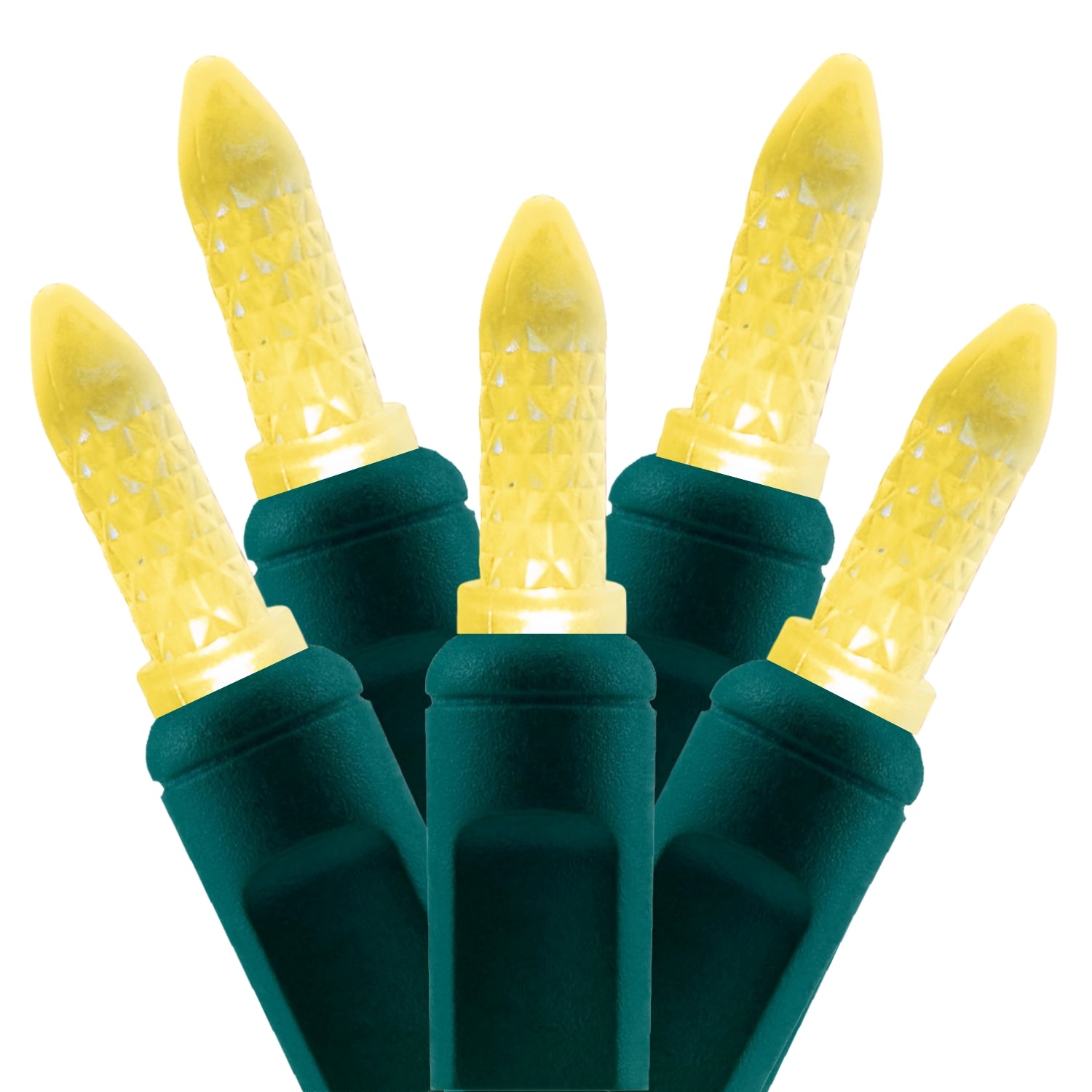 Commercial Grade Warm White M5 LED Christmas Lights on Green Wire