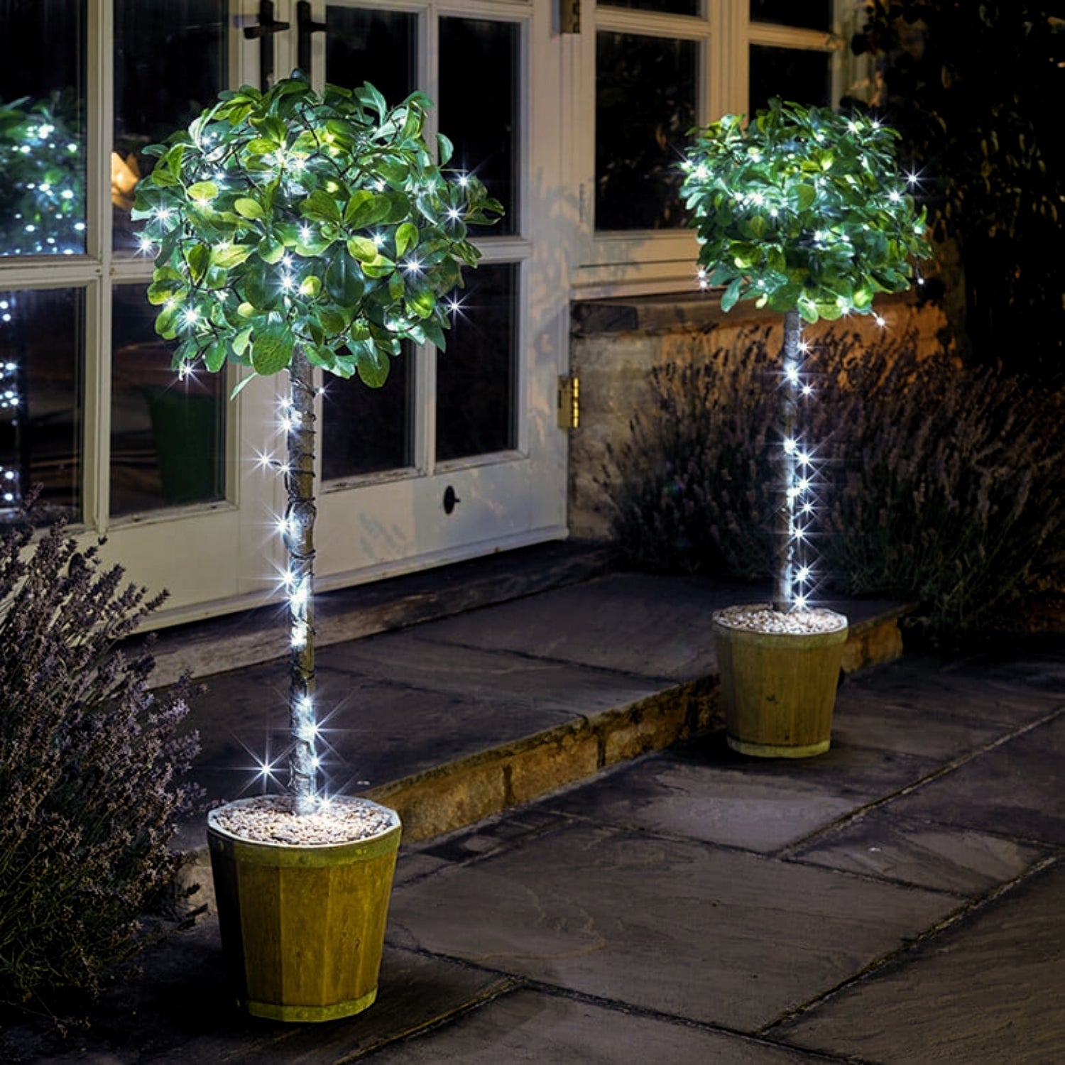 50 Count Outdoor LED Christmas Lights Battery Operated on Green Wire