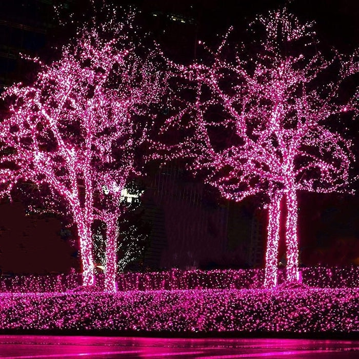 Commercial Grade Pink 5mm Wide Angle LED Christmas Lights on Green Wire