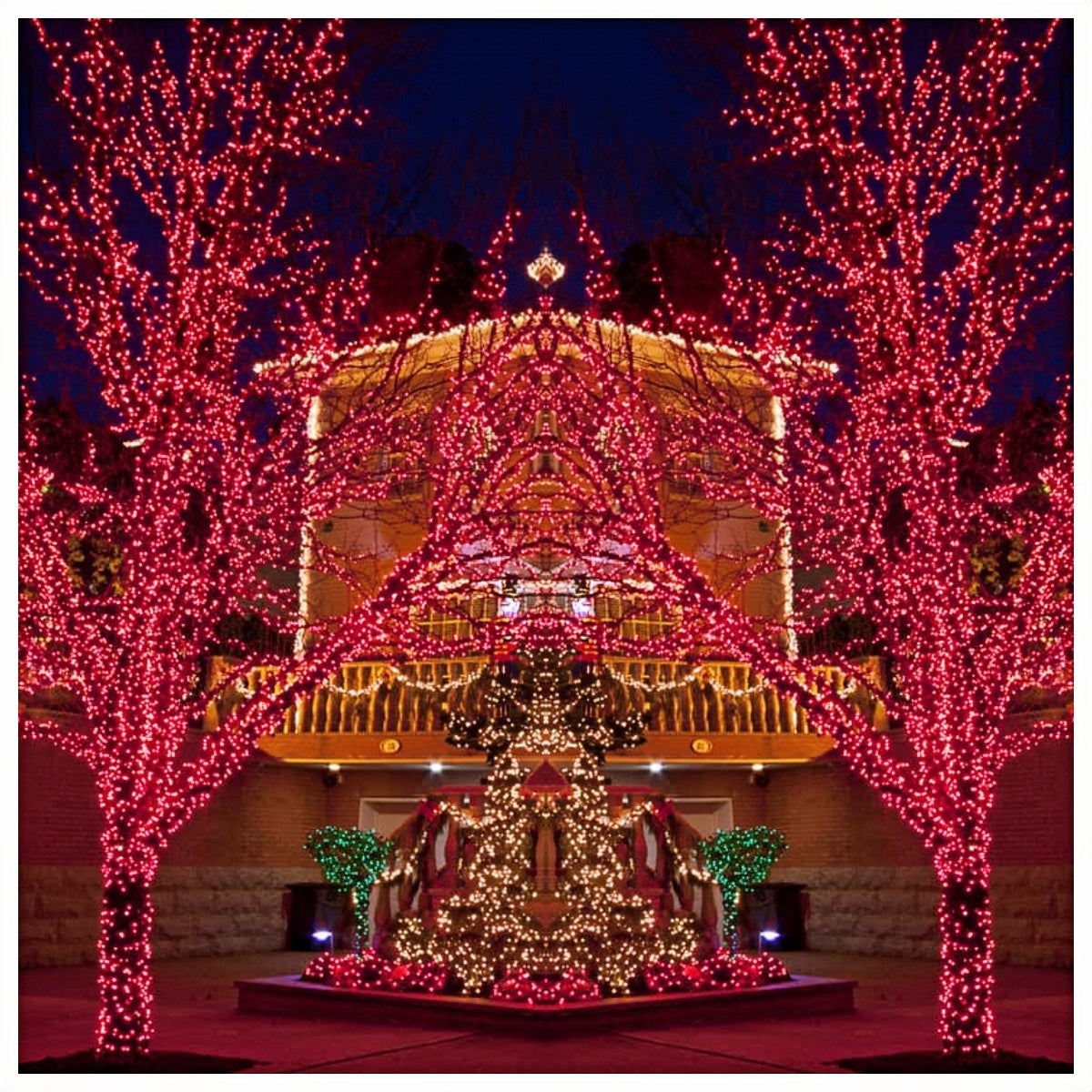 Commercial Grade Red 5mm Wide Angle LED Christmas Lights on Brown Wire