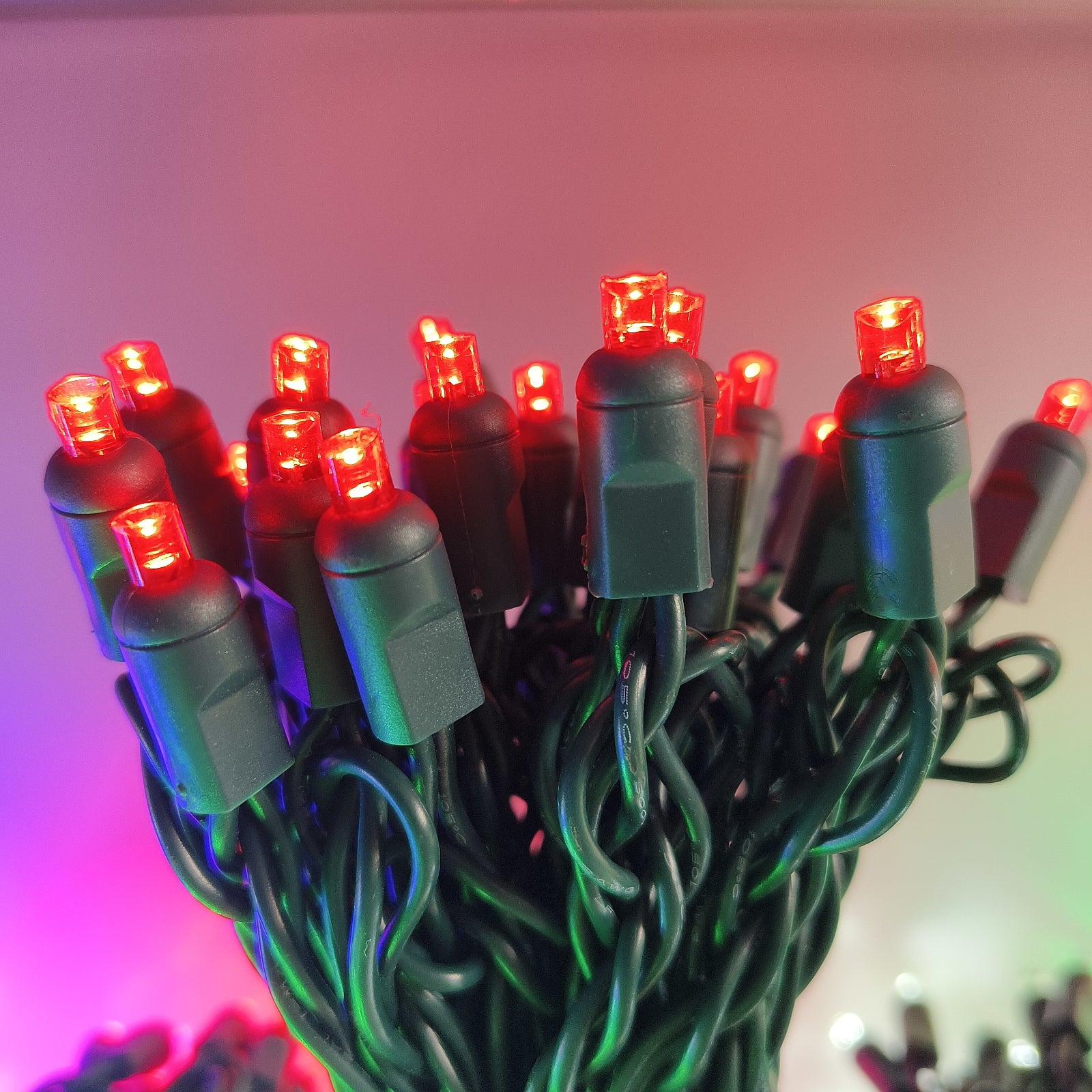 Commercial Grade Red 5mm Wide Angle LED Christmas Lights on Green Wire