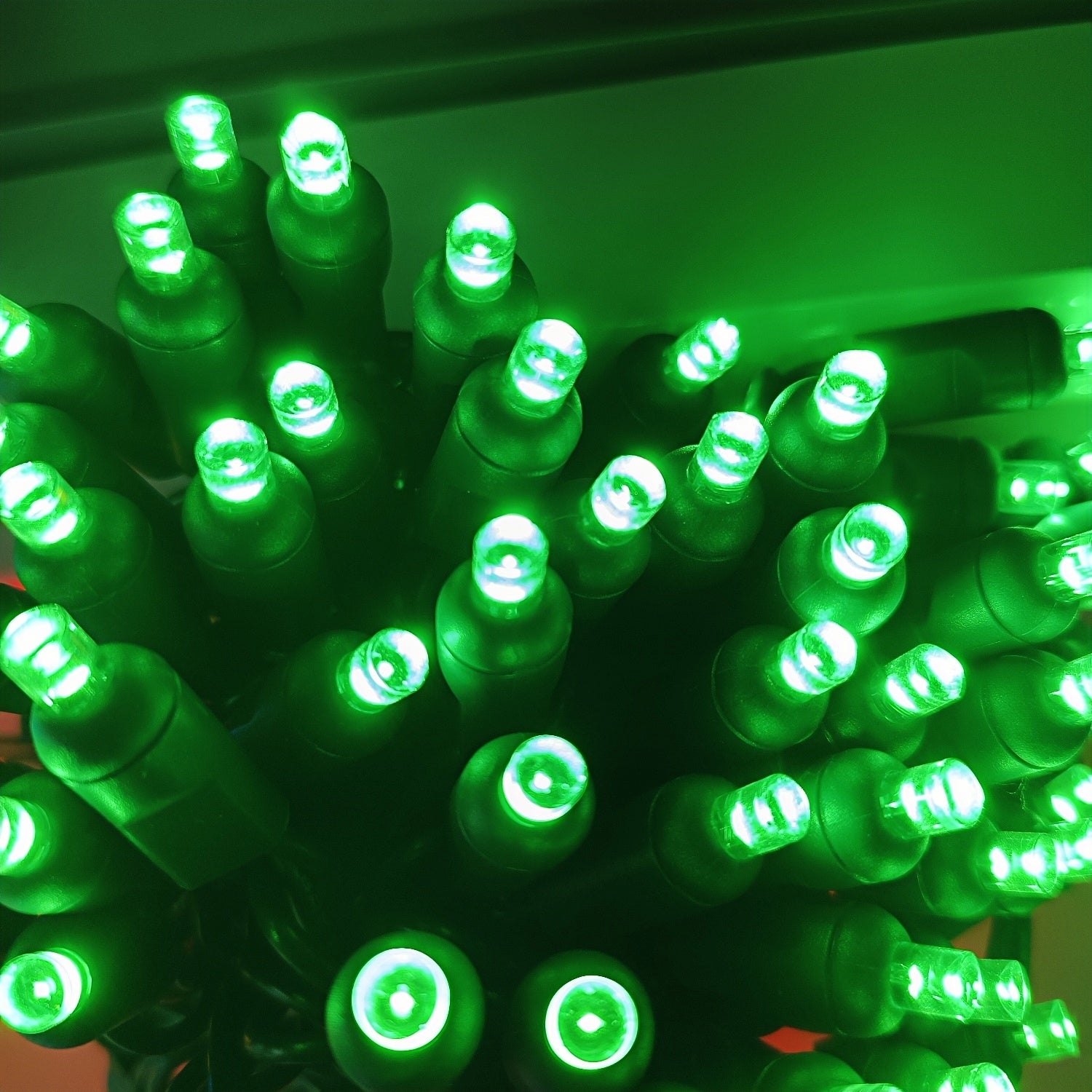 Commercial Grade Green 5mm Wide Angle LED Christmas Lights on Green Wire
