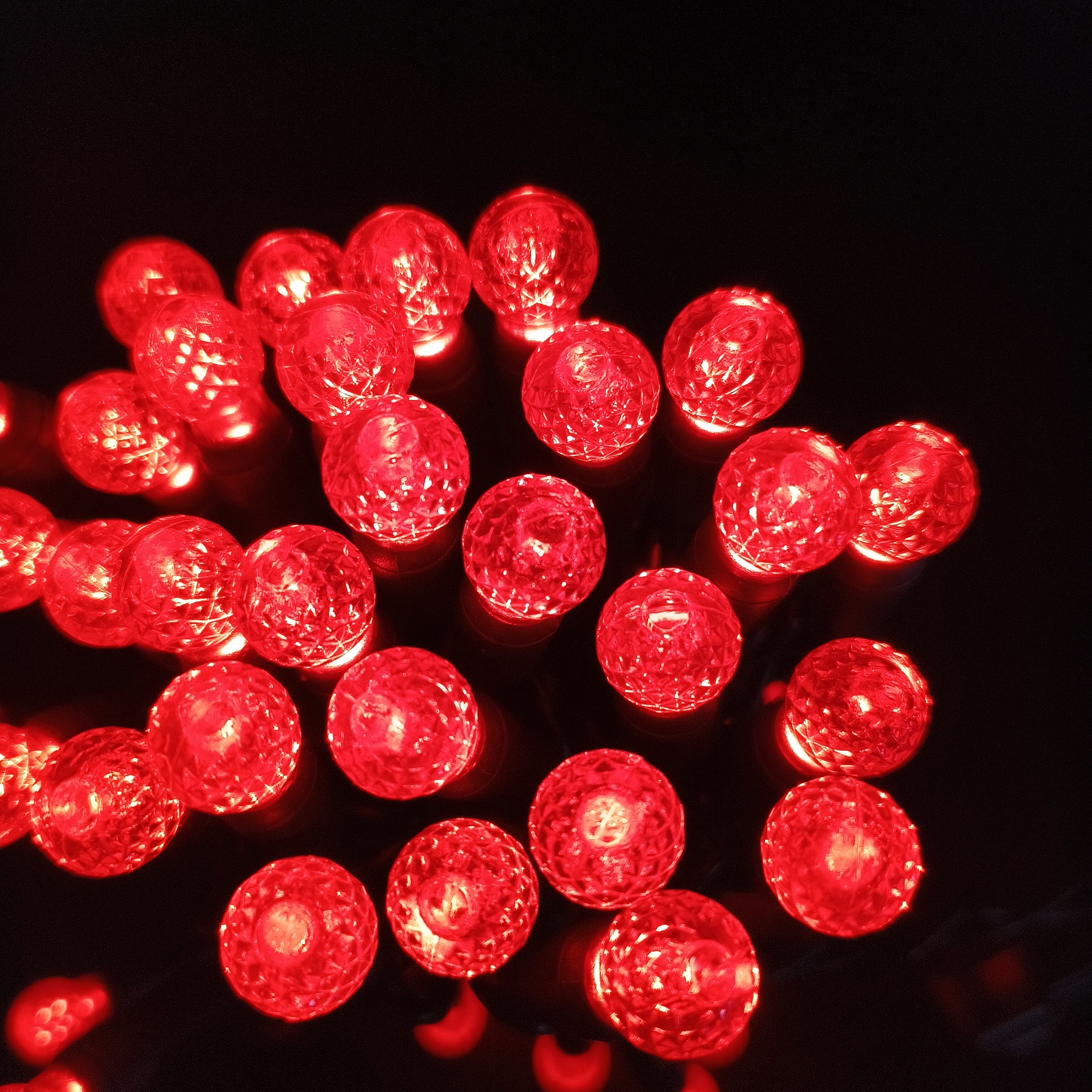 Commercial Grade Red G12 LED Christmas Lights on Green Wire