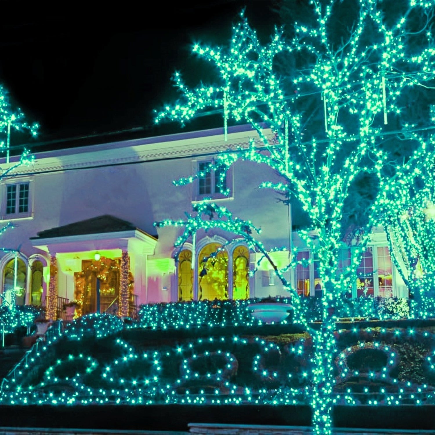 Commercial Grade Teal 5mm Wide Angle LED Christmas Lights on Green Wire