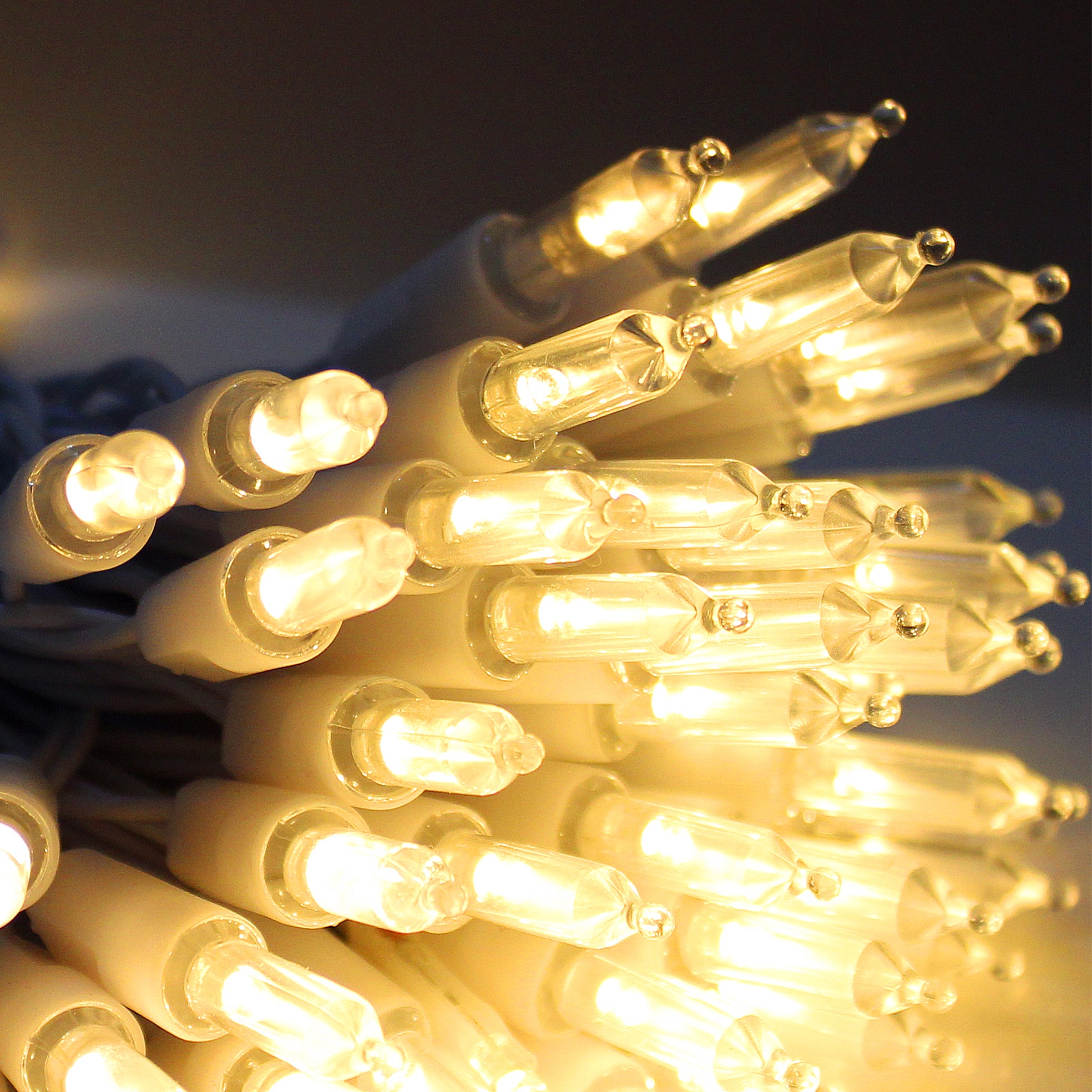 50 LED Battery Operated Mini Christmas Lights Indoor with Remote Timer in Warm White