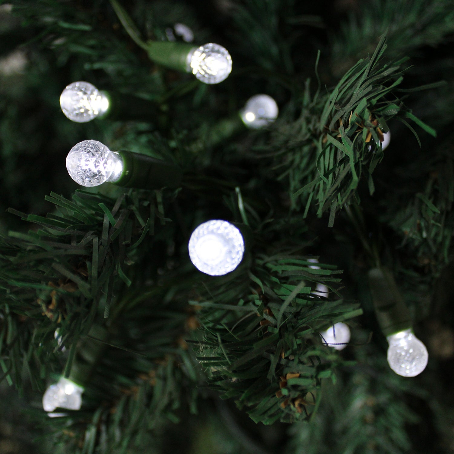 50 Count White G12 Christmas Lights Battery Operated on Green Wire