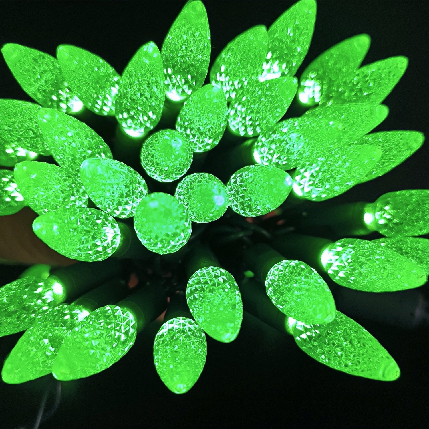 Commercial Grade Green C6 LED Christmas Lights on Green Wire
