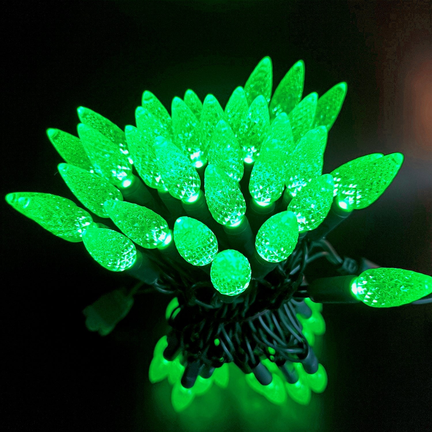 Commercial Grade Green C6 LED Christmas Lights on Green Wire