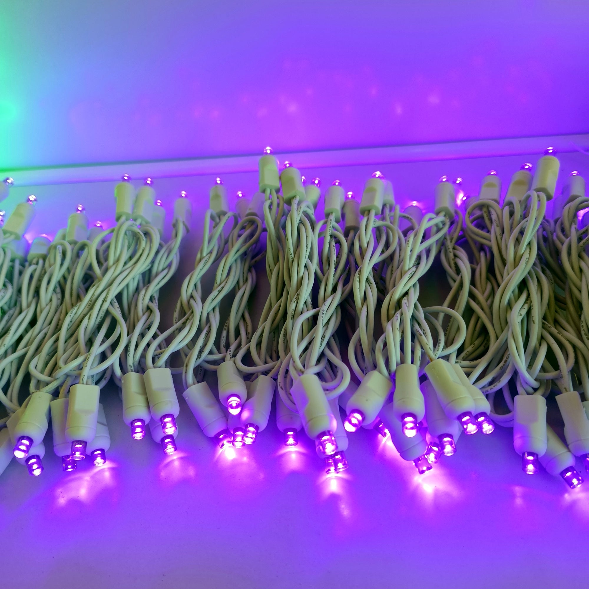 Commercial Grade Purple 5mm Wide Angle LED Christmas Lights on White Wire