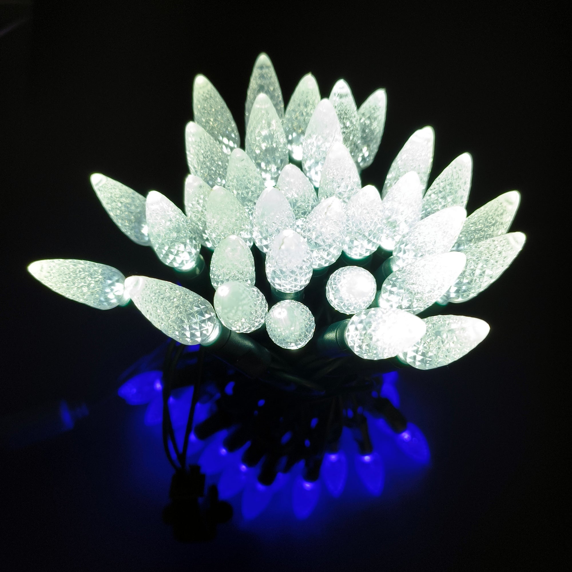 Commercial Grade Blue White C6 LED Christmas Lights on Green Wire