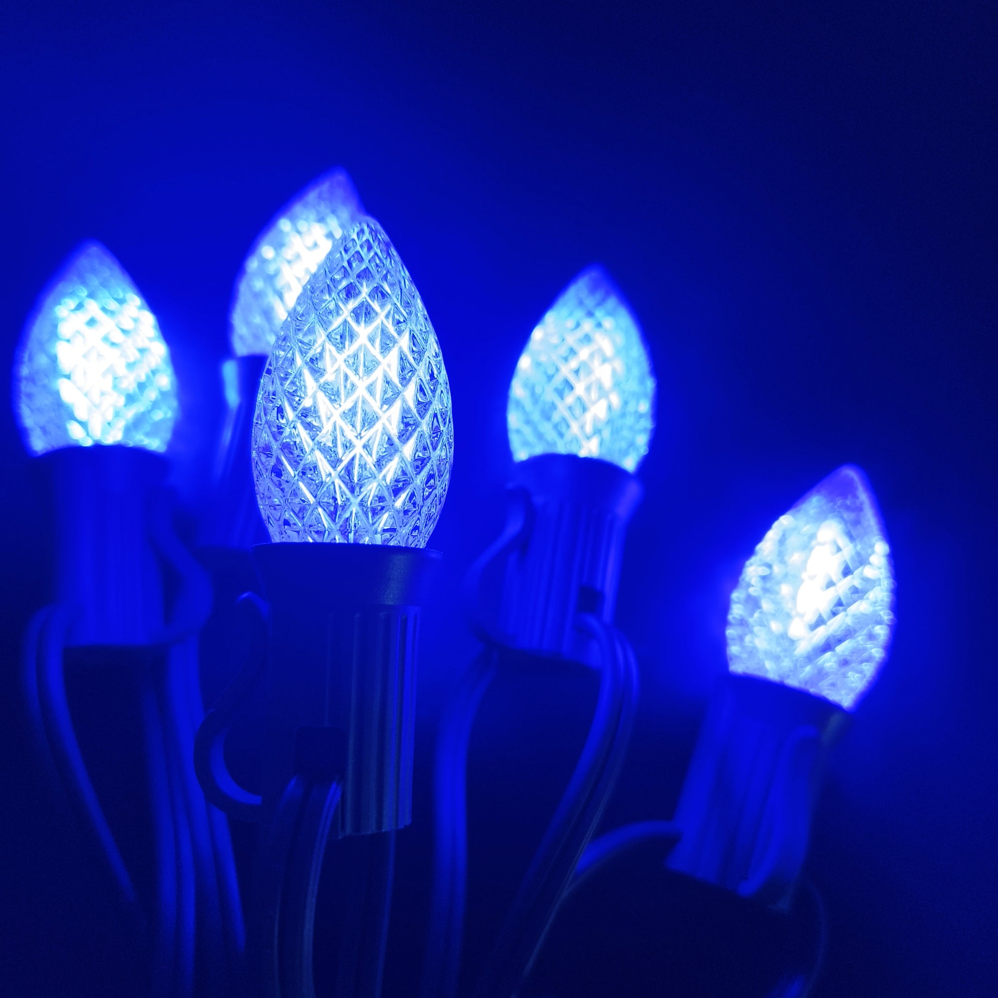 Commercial Grade Blue C7 LED Christmas Lights 25Ft 25 Bulbs on Green Wire