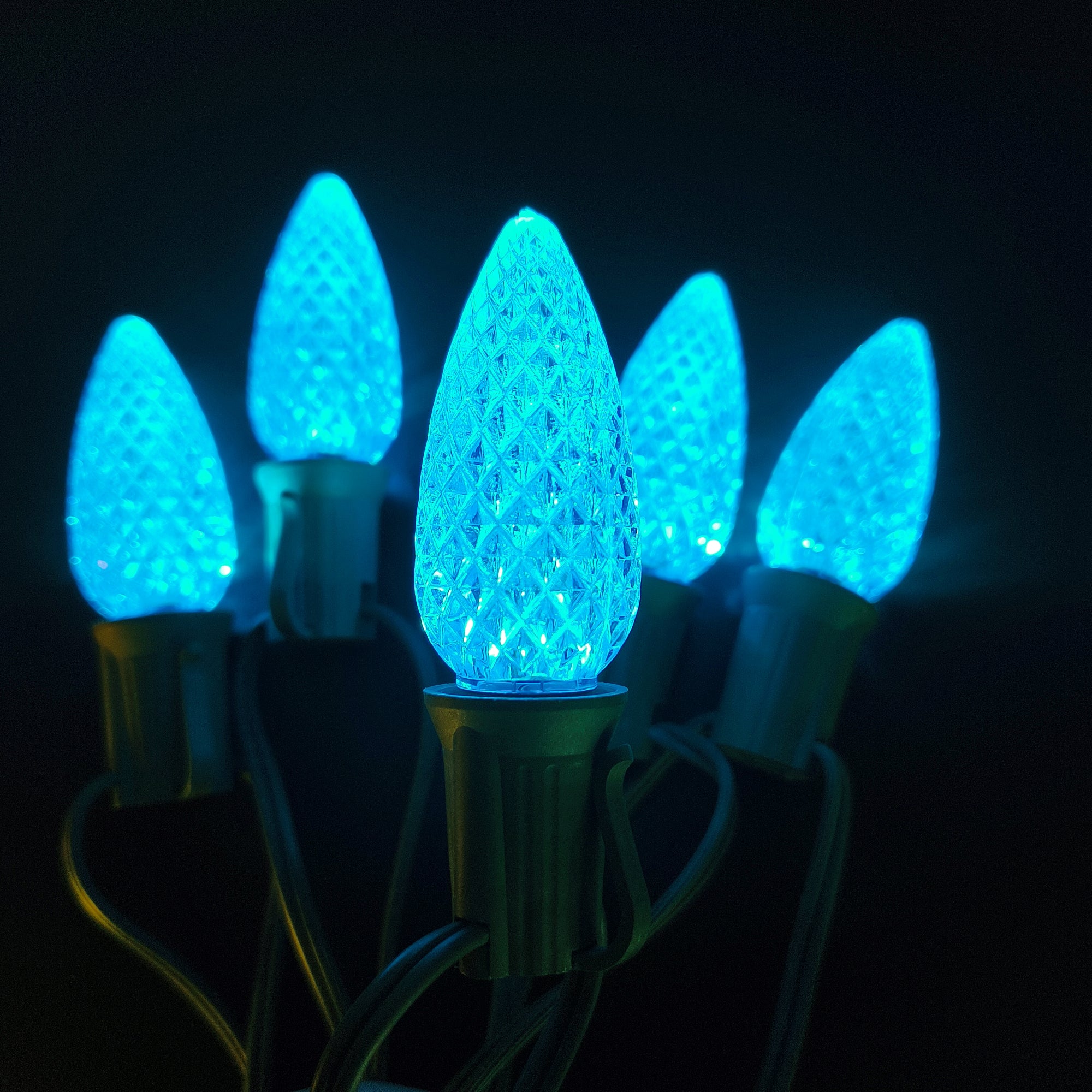 Commercial Grade Teal C9 LED Christmas Lights 25Ft 25 Bulbs on Green Wire