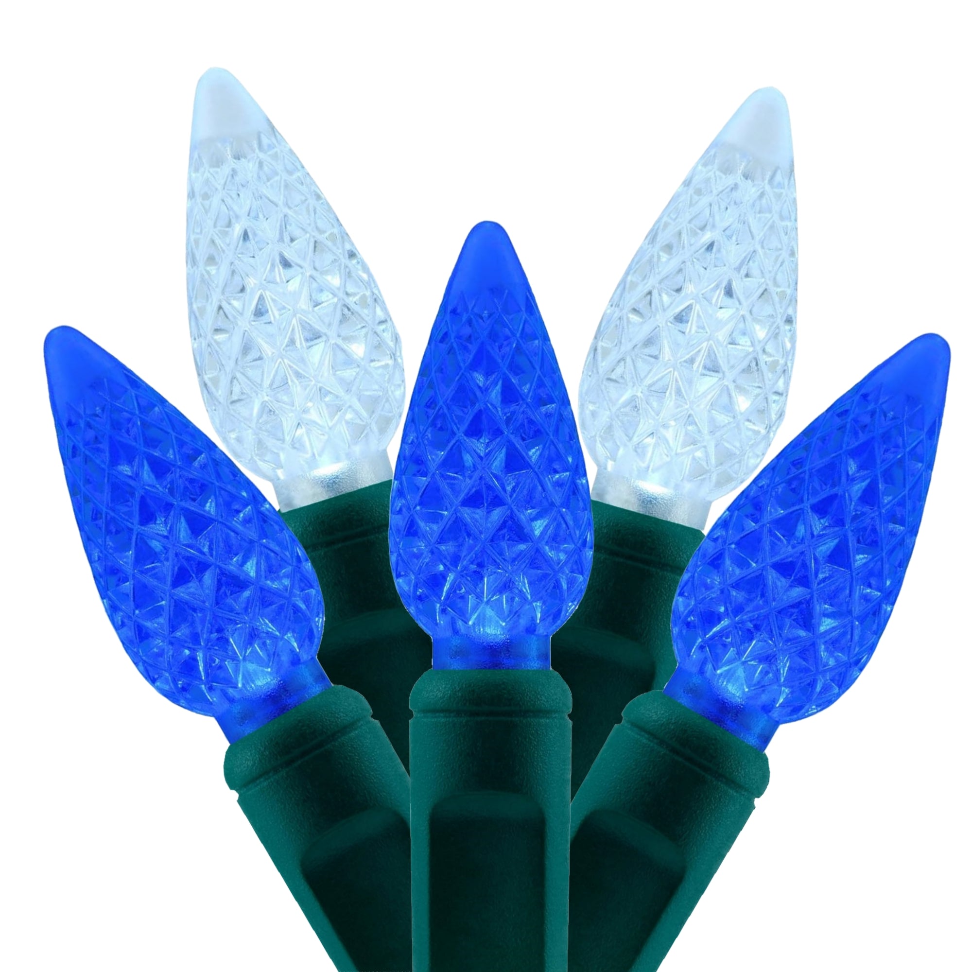 Commercial Grade Blue White C6 LED Christmas Lights on Green Wire