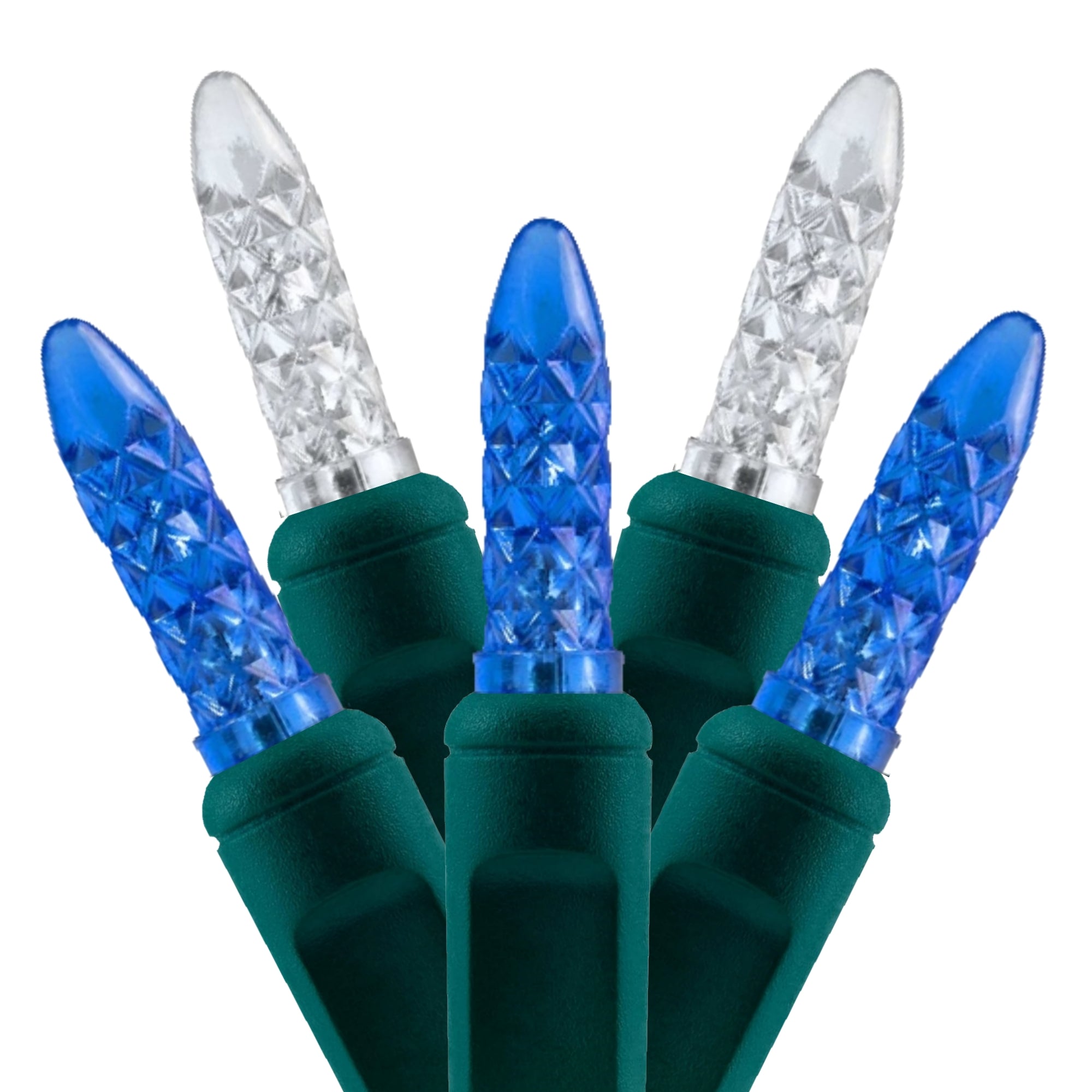 Commercial Grade Blue White M5 LED Christmas Lights on Green Wire