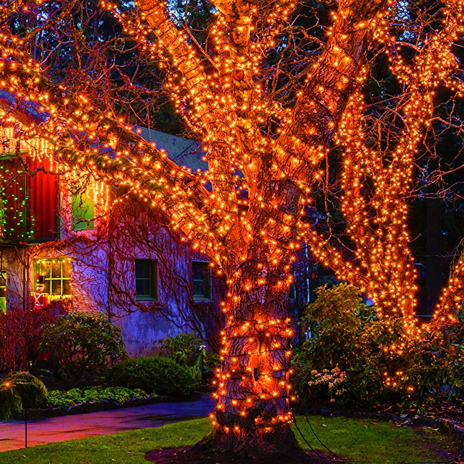 Commercial Grade Orange 5mm Wide Angle LED Christmas Lights on Green Wire